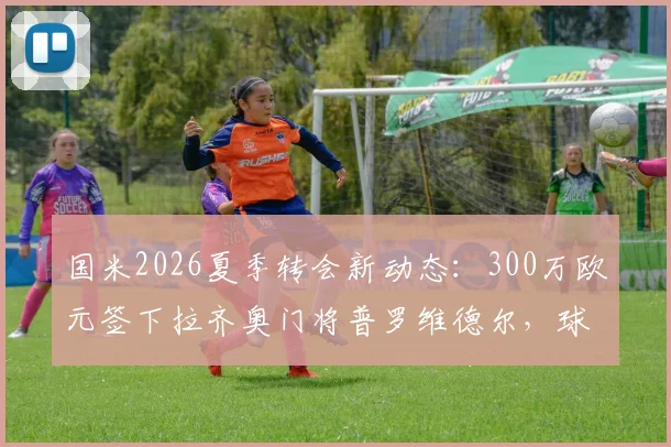 国米2026夏季转会新动态:300万欧元签下拉齐奥门将普罗维德尔,球队门将位置关键补强解读
