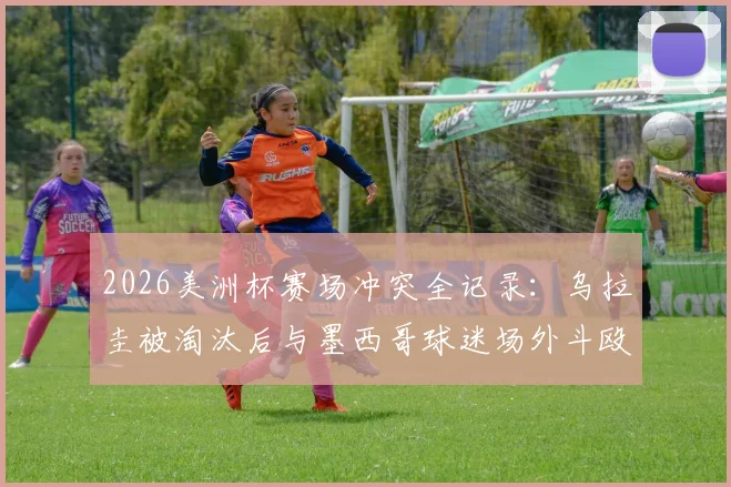 2026美洲杯赛场冲突全记录：乌拉圭被淘汰后与墨西哥球迷场外斗殴事件深度分析及安全警示